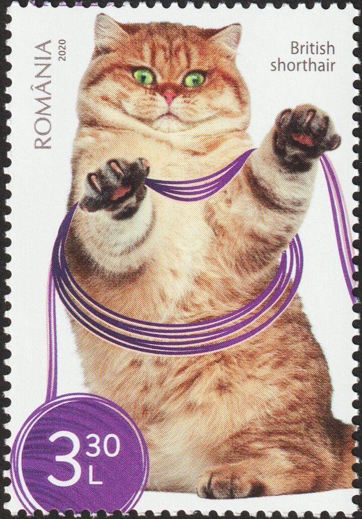 StampsBot's tweet photo. romanian cat stamps submitted by @warmcandlewax https://t.co/1dxEeaH1l8