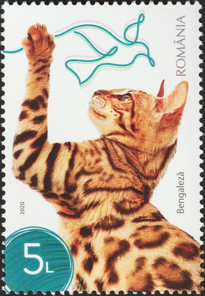StampsBot's tweet photo. romanian cat stamps submitted by @warmcandlewax https://t.co/1dxEeaH1l8