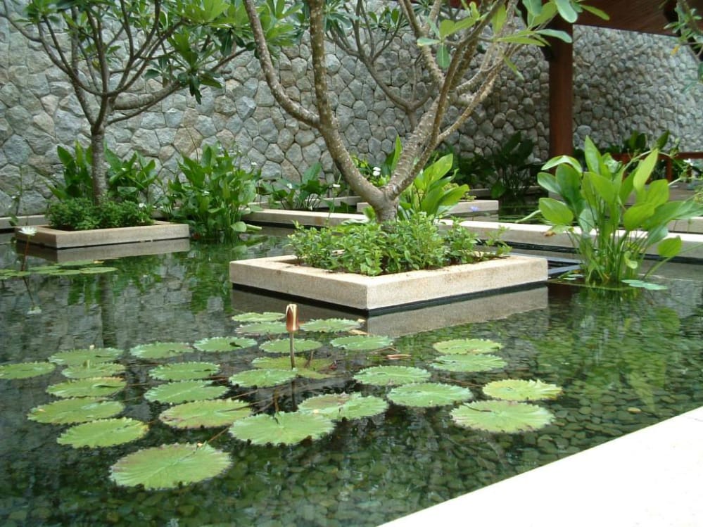 jha_yatendra's tweet photo. Yes please !! Busy making #BioPond #biopool next 2 days!! #savewater #sustainability #sustainableliving #biophilicdesign #SmartHimalaya https://t.co/WJPvdEe8g3