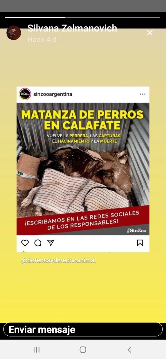 Tabyta201's tweet photo. 🚨🚨EL CALAFATE!!!🚨🚨 https://t.co/axCowAd8uo