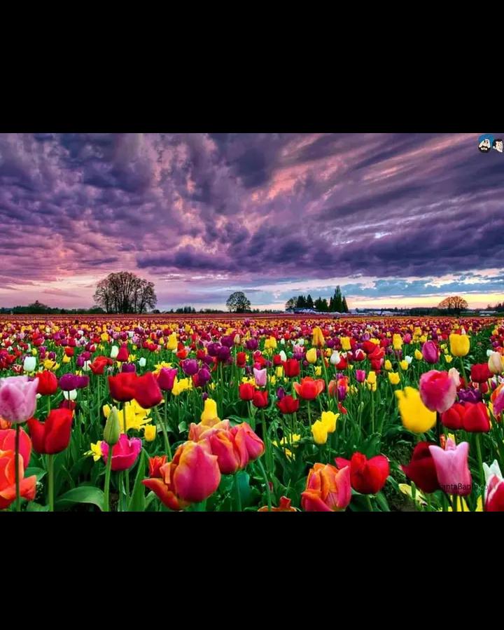 DeborahMat66035's tweet image. 