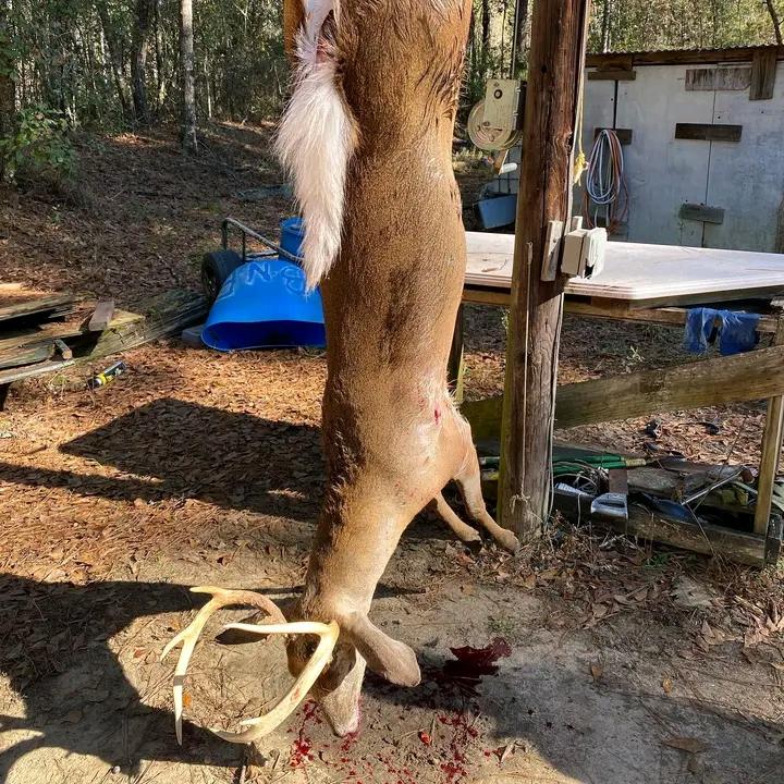 DeborahMat66035's tweet image. 