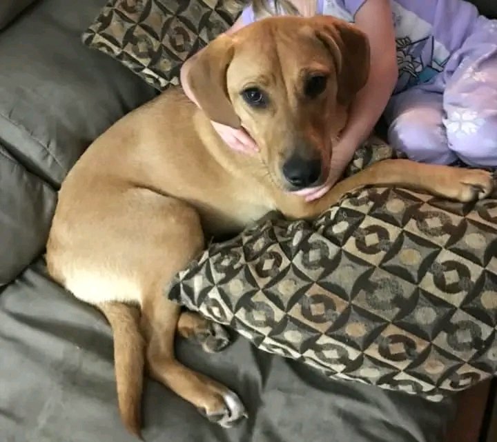 DeborahMat66035's tweet image. 