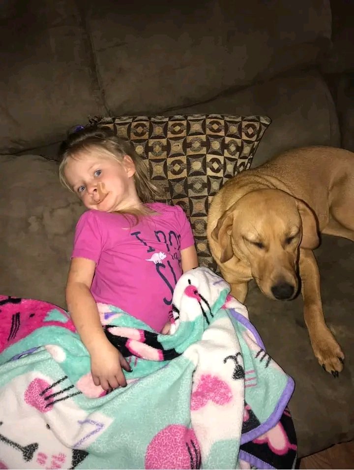 DeborahMat66035's tweet image. 