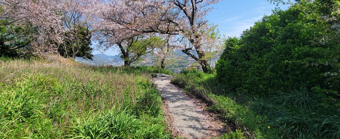 色づく世界の明日から聖地巡礼🌸どんの山公園です^⁠_⁠^#色づく世界の明日から #聖地巡礼 