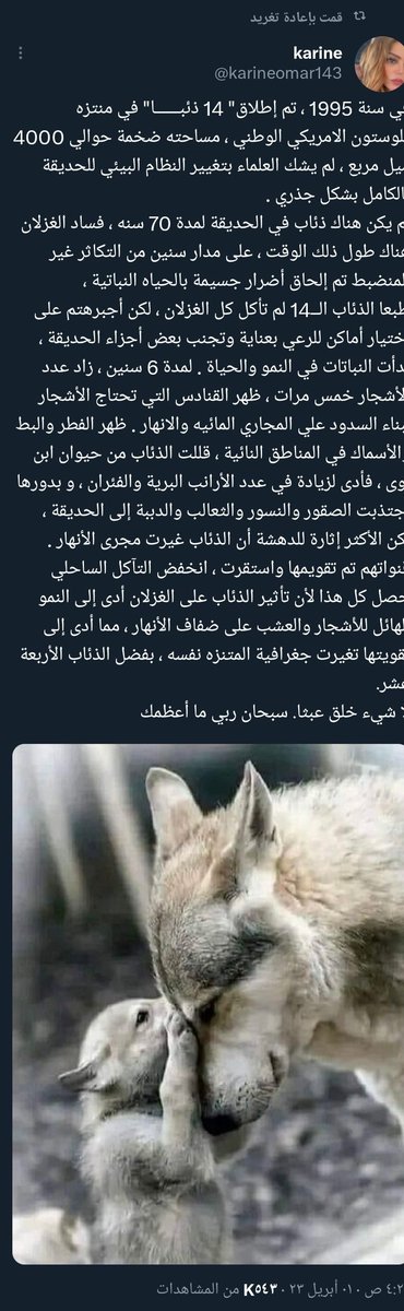 <a href="/NajwaaAli/">نجوى</a> النقل من تويتر بأكثر من طريقة ،

قد يكون عن طريق إعادة التغريد ،

التفضيل ،

الإقتباس مع تعليق جميل ،

النقل حرفياً او بتصرف مع ذكر المصدر <a href="/karineomar143/">karine</a> 

ما عدا ذلك فهو عيب ،،،