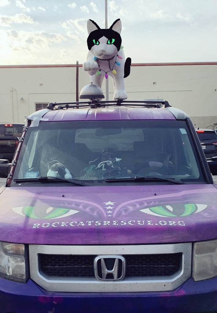 FINALLY FIXED THE CAT CAR!

MEW KNOW I'M THE STAR - MEOW EVERYONE KNOWS!

#JAXACROCAT #ACROCATS #CAT #AprilFoolsDay #CatsOfTwitter