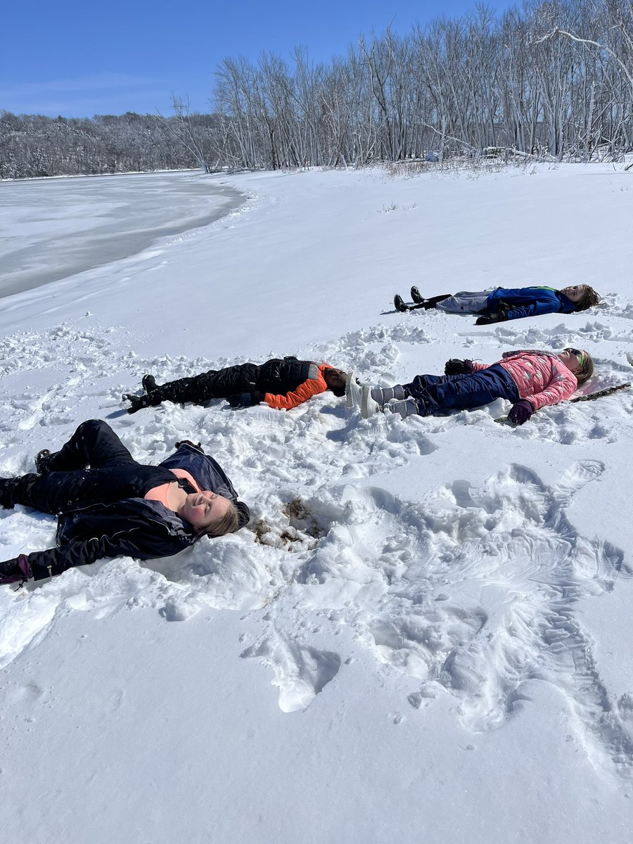 IowaPigVet's tweet photo. @kare11 Spring break at the beach https://t.co/T2POspW4t9