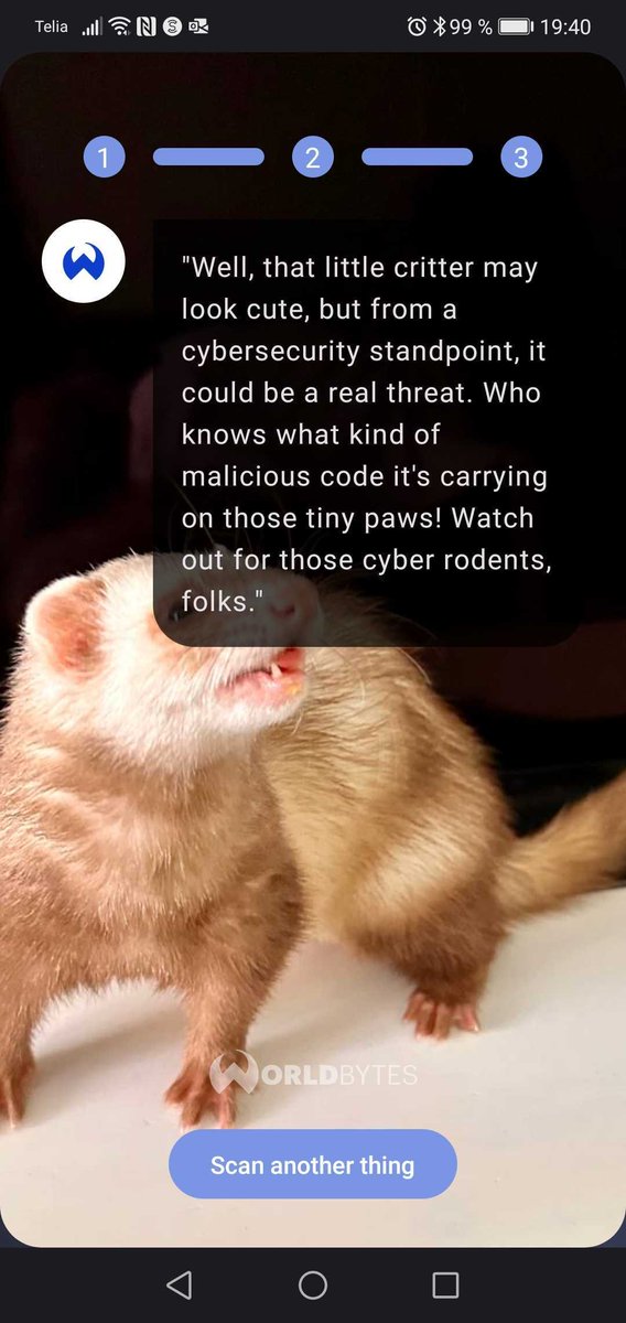 Pepijn Bruienne 🐶🌲🧀💴 tweet media