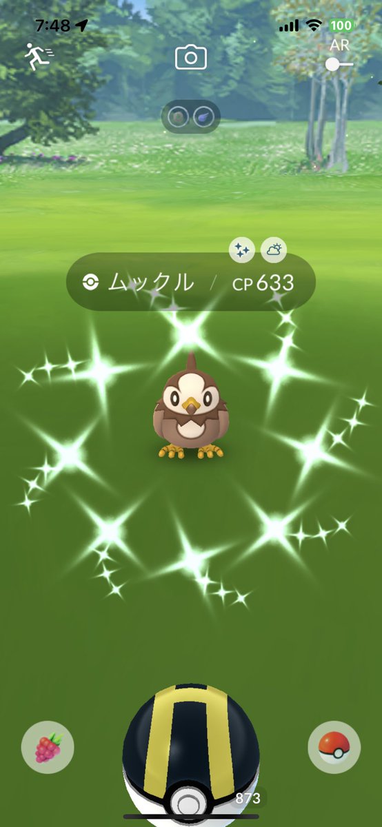 pokeoshi_'s tweet photo. 色違い、4枚溜まった✨
#ポケモンGO
#色違い https://t.co/FCzXBoBh5d