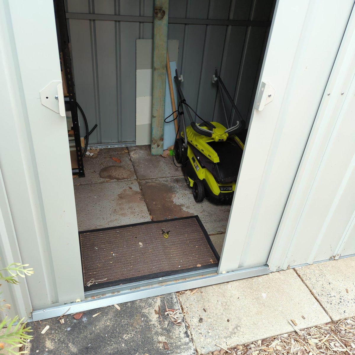 Jeffrey Wilson tweet media