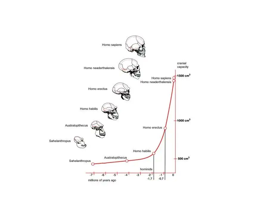 Bruce R. Fenton tweet media