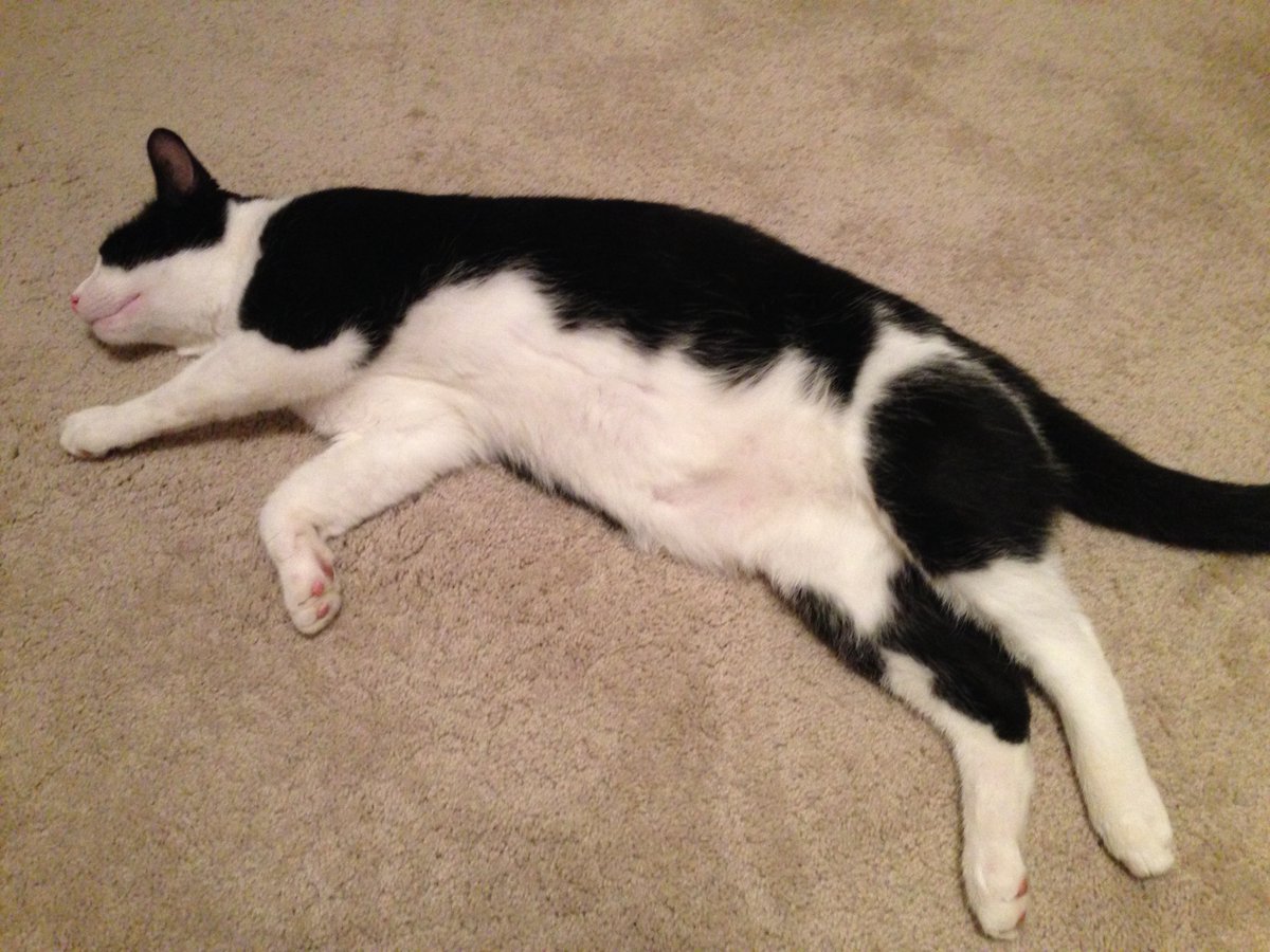 Sarah Blick tweet media