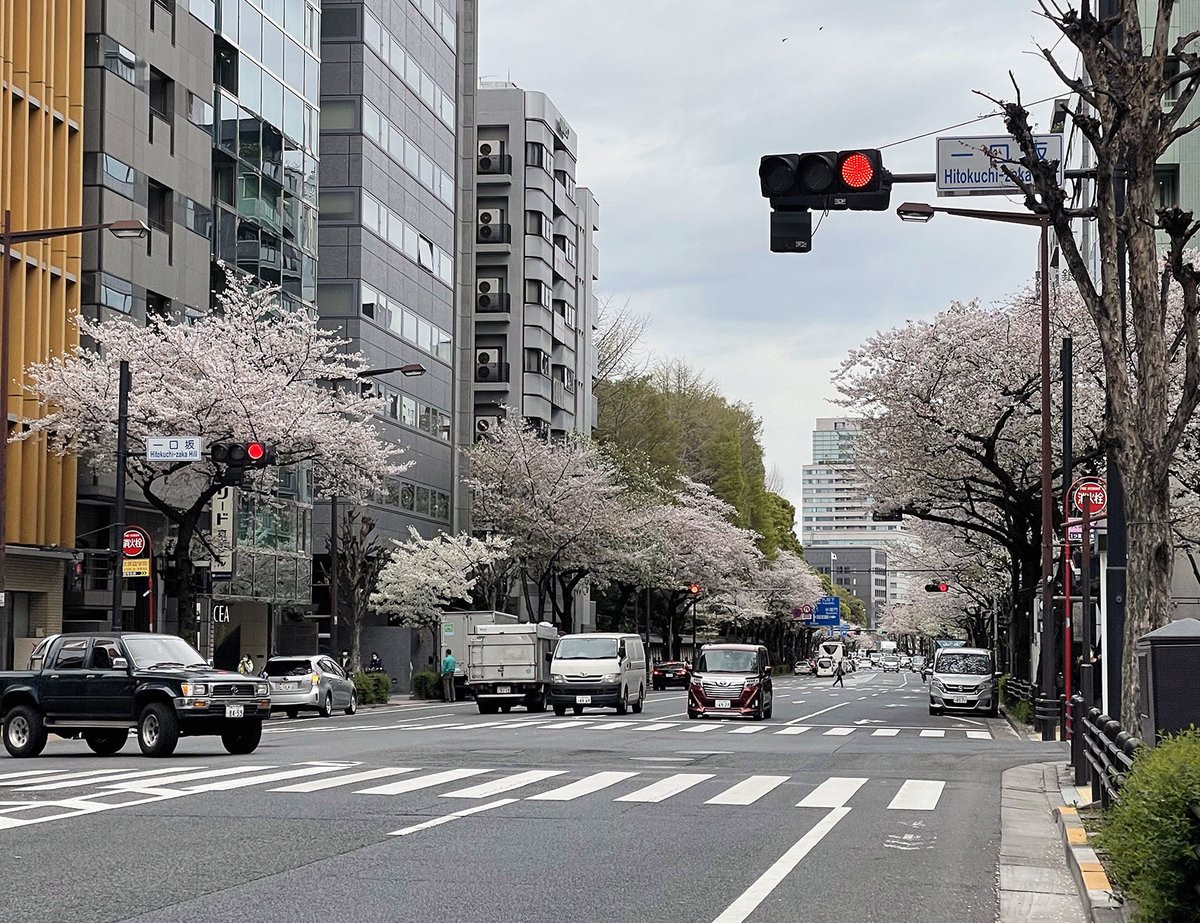 kidopress's tweet photo. キドプレスより工房移転先のお知らせです。

JR市ヶ谷駅、地下鉄市ヶ谷駅より徒歩7分ほどのとこです。
ちょうど桜の時期の移転となり、予想もしていなかった市ヶ谷周辺の桜の素晴らしさに感動しているところです。
102-0074
東京都千代田区九段南3-3-3.  ヨコヤマビル1F
Tel&amp;Fax. 03-5817-8988 https://t.co/pxYTP6ykkX