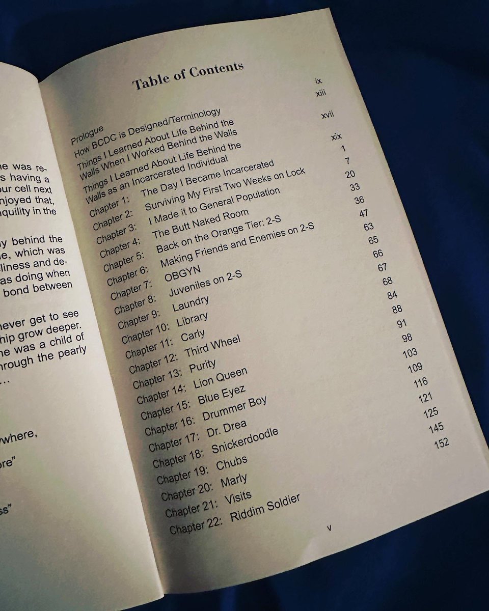 MecksMac's tweet image. Check out my #TableofContents from my #memoir #OUTOFTHEASHESIRISE #Surviving BCDC 📖 Which chapter most intrigues you? #indieauthors #Writer #truecrime #criminaljustice #socialjustice #prisonreform #Freedom_Now #freedom #TrueStory #OrangeIsTheNewBlack #reallife #Lockdown #prison