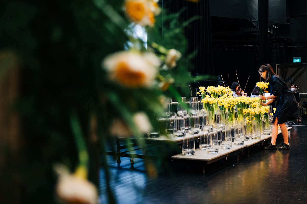 More photographs from the Daffodil Procession - part of our Founder's Day ceremony, honouring the vision, foresight and dedication of our Founder Frances Mary Buss.