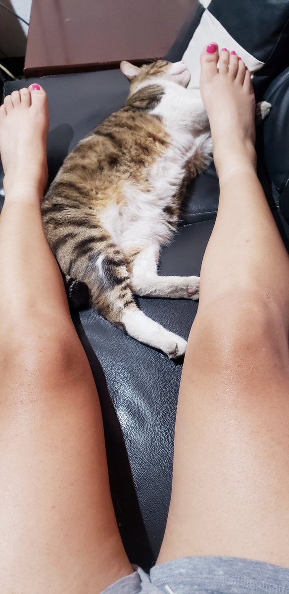 muneca_sexy's tweet photo. Hora de descanso https://t.co/BNZAOyevZ2