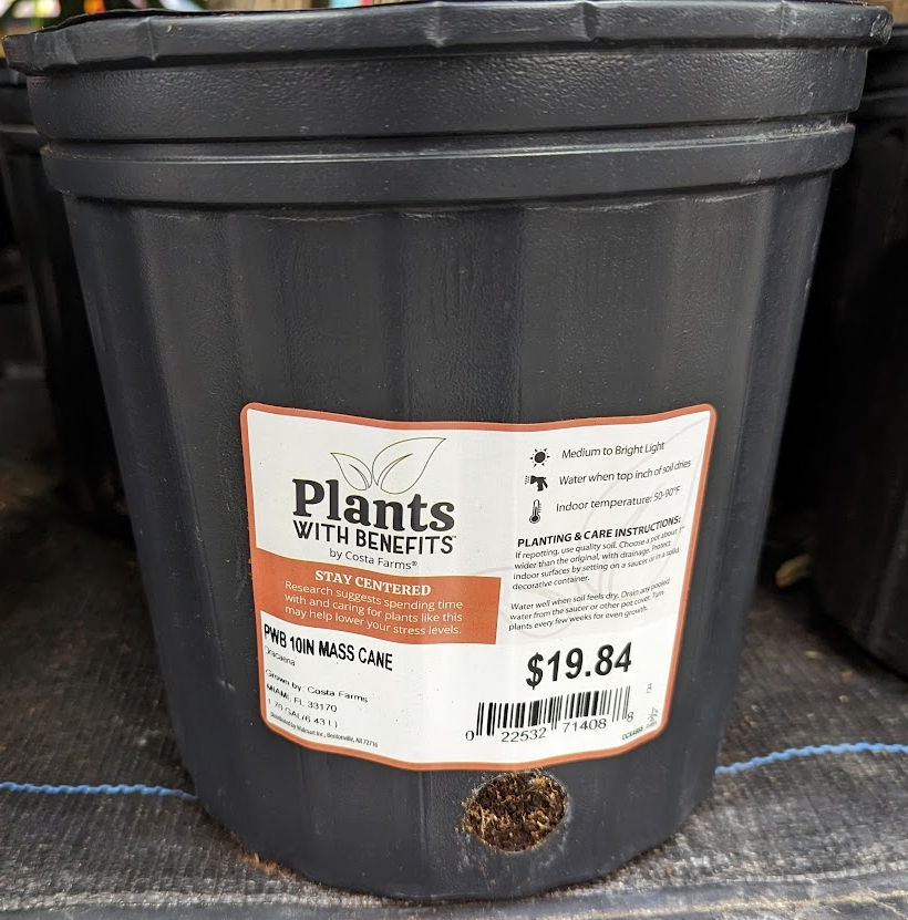 cithrel's tweet image. Next book title leaked: