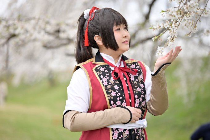 Cosplay薄桜鬼 雪村千鶴ーーーーーーーーーーーー桜の季節が来ると思い出す。ーーーーーーーーーーーーphoto:螢さ