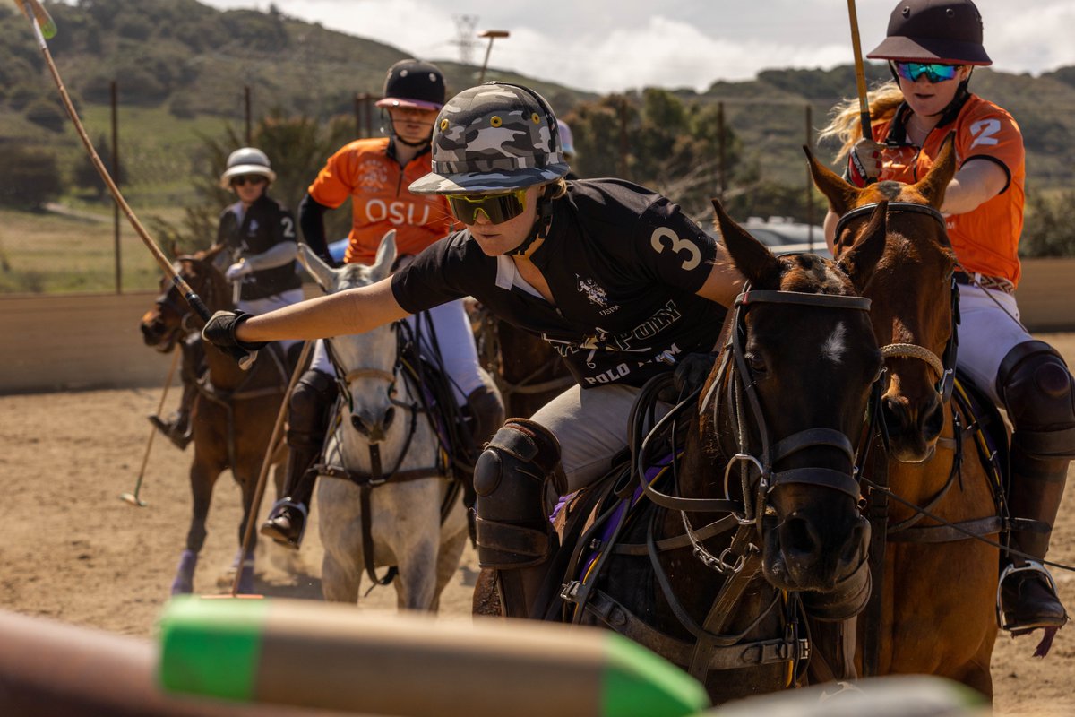 PoloAssociation's tweet image. Check out these shots 📷 from the Divison II Intercollegiate Championships! @CCPolo

Here are the match-ups for the finals!
Babson College and the University of Kentucky will go head-to-head in the Men’s Intercollegiate Championship.
Then California Polytechnic University will…