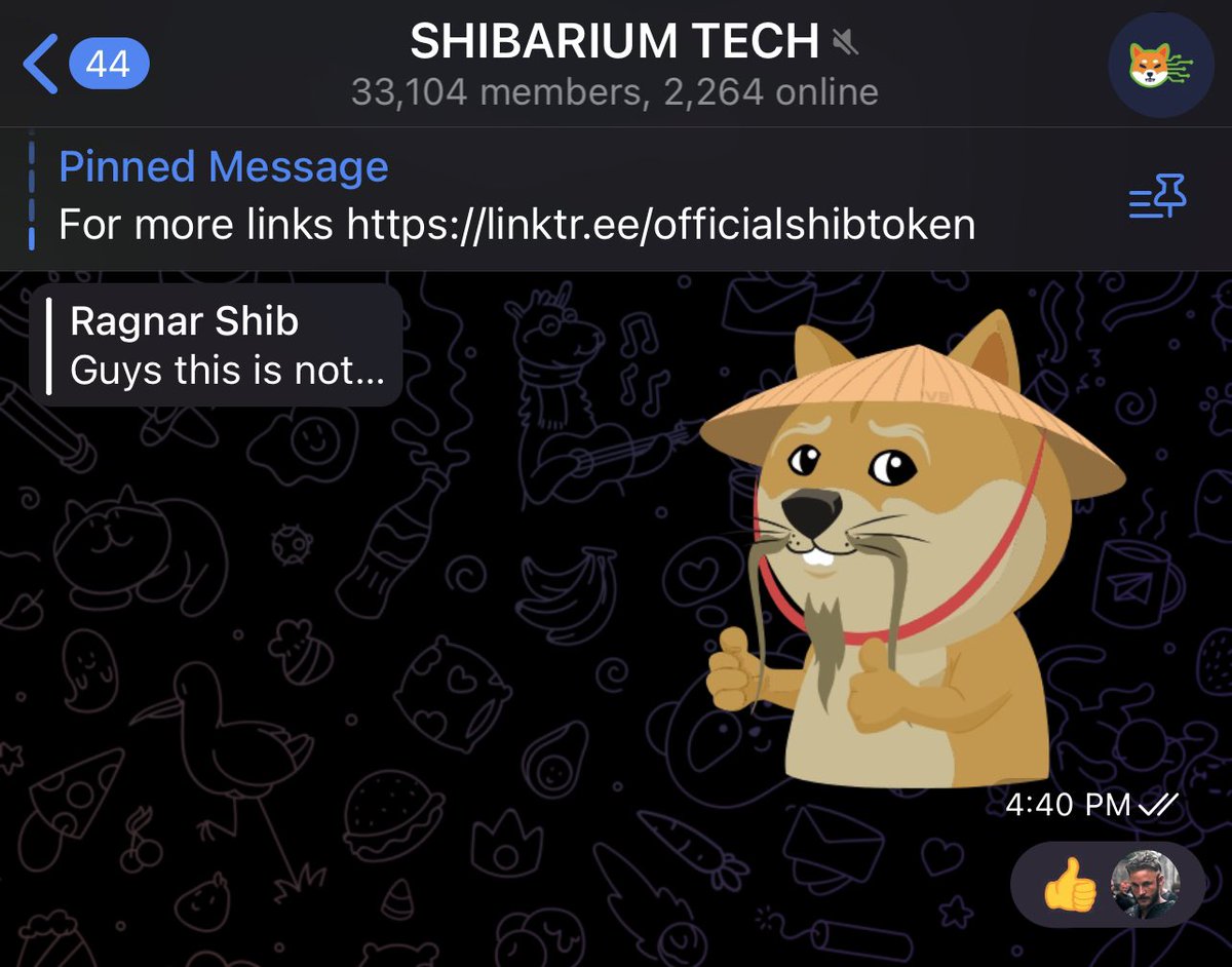 Crypto_G_James's tweet photo. When every Tom, Dick and Harry are $hiling on the #Shibarium TG and my comment gets put on blast for talking about $VB.
What do you when they say donβt $hill projects unless they bring something to Shibarium?
Reply with a #VeryBanking sticker to get that last $hill in π https://t.co/EF4Bbeaf4q