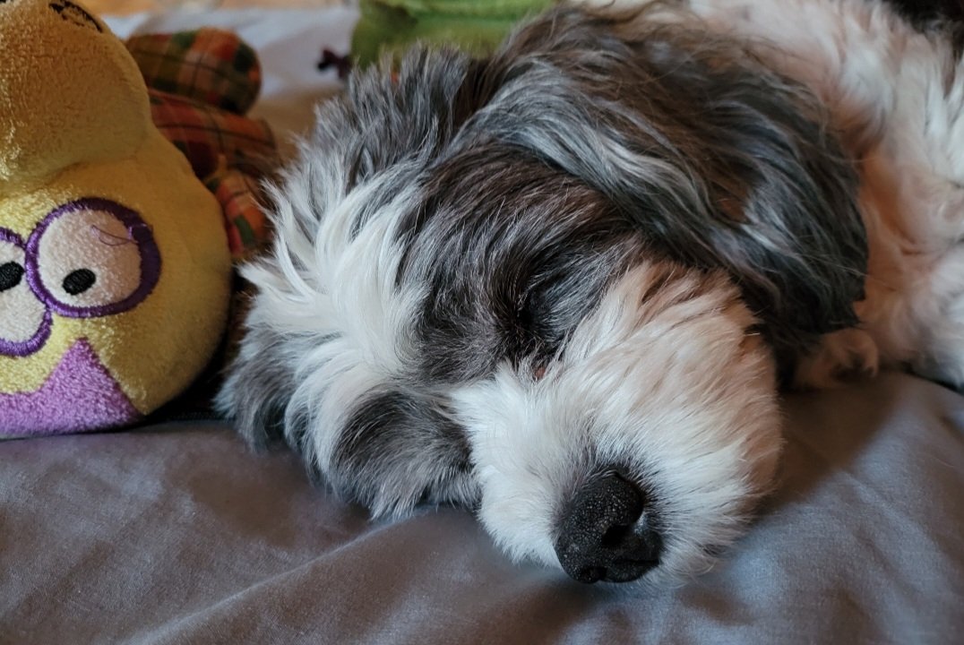 PromoChick😷 tweet media