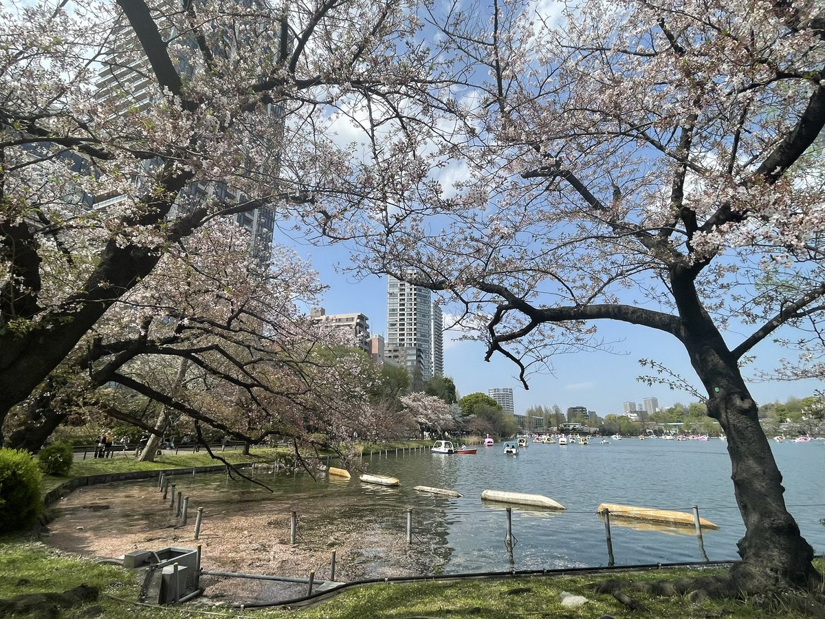 melDieKatze's tweet photo. 昨日は天気が良かったので久しぶりにジョギングしてきた。 https://t.co/uIwhImkcd3