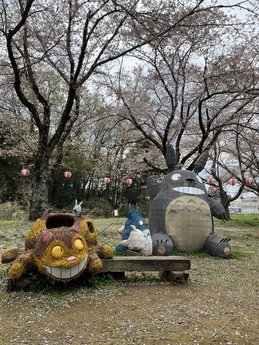 滑川桜まつりには行けなかったけど1日遅れでトトロに会えました。桜の下で嬉しそう♪滑川町役場の桜は穴場ですね。来年は自転車