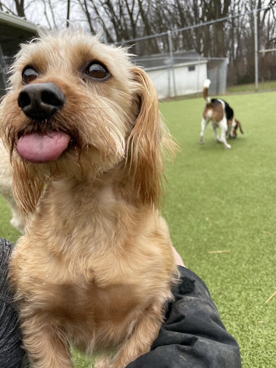 BobCaton's tweet image. Tweet a random photo from your phone with no explanation.