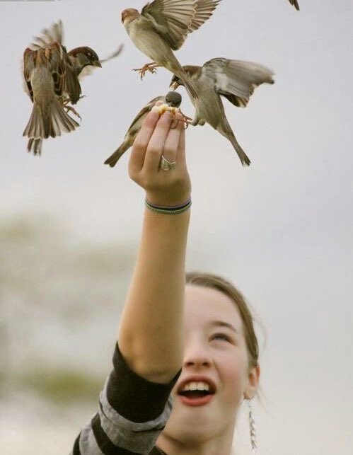 صباح النور على البنور لما يزقزق العصفور🌹❤️😂
#صباح_الخير_والسعاده_للجميع #متابعيني