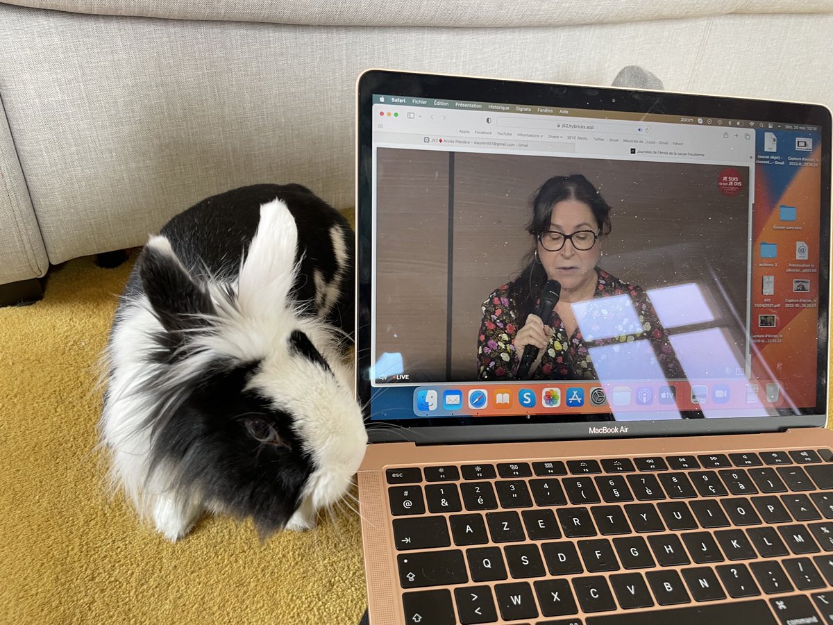 sevelaure's tweet photo. Lapin en Zoom, chut !
#stace https://t.co/R1tesNaHSG