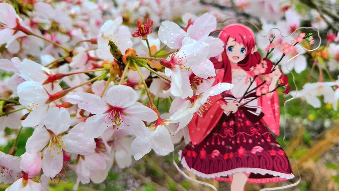さくらちゃんとお花見…  