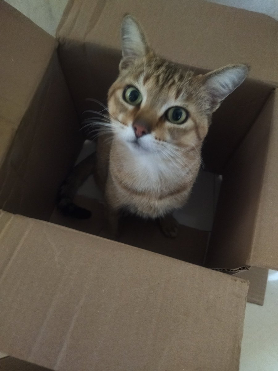 likefailed's tweet image. 