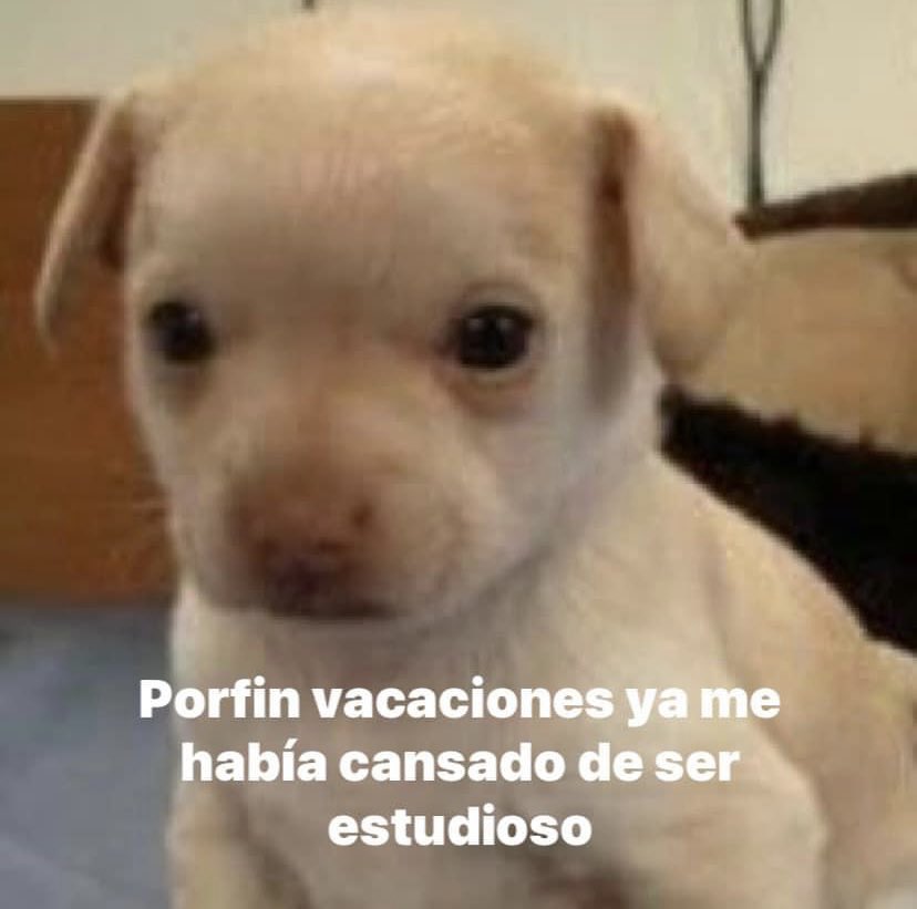 Yo después de saltarme todas las clases:
