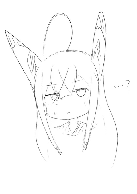 (⌒v⌒)おはようございます 