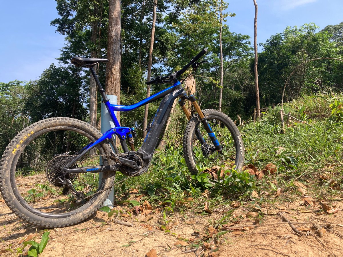 Brendan Tully tweet media