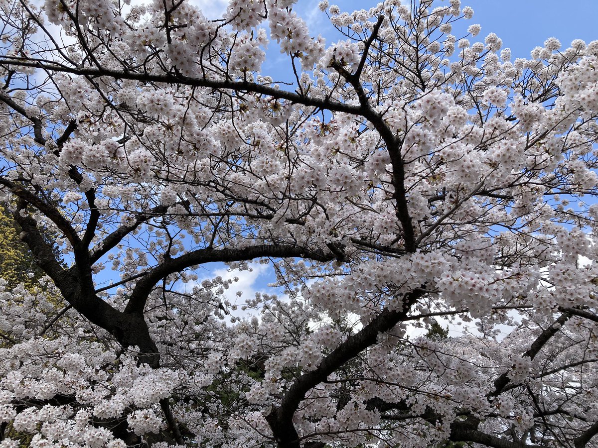 ぬけにん(@neoranto) - Twilog