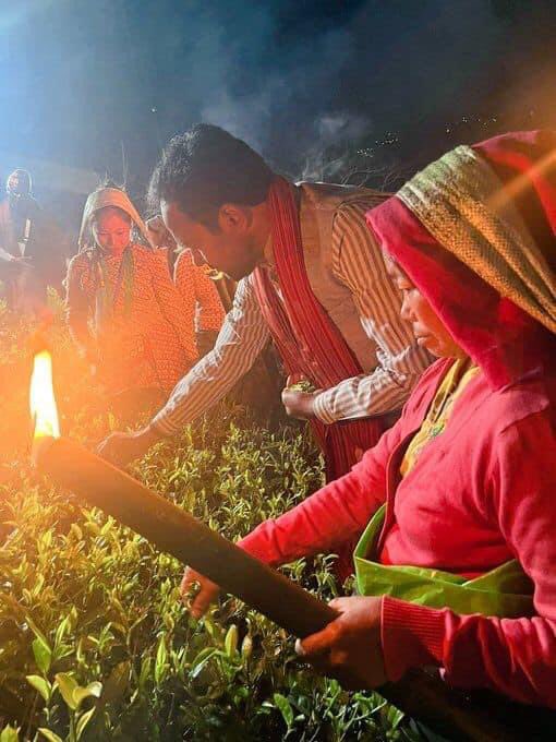 darjecon's tweet photo. We appreciate the efforts of G20 Chief Coordinator  Mr. @shringlaharshv , @tourismgoi Secretary Mr. Arvind Singh to choose Darjeeling as the part of G20 Meet. https://t.co/FH2v8AuSpg