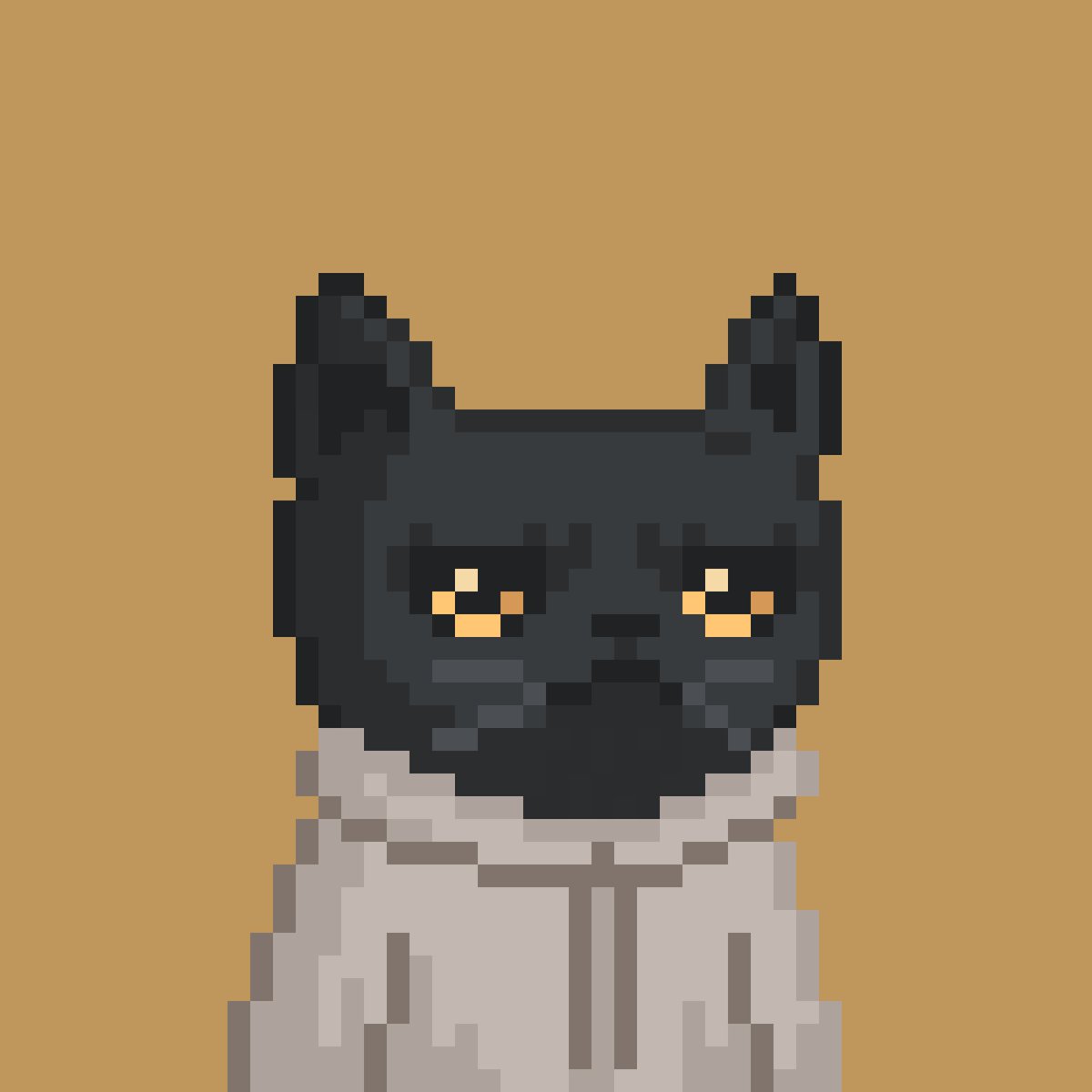 wabiwashere's tweet photo. Puma posse growing strong @CrittersCult pumas are my fave #pumagang https://t.co/evl93CMpPo