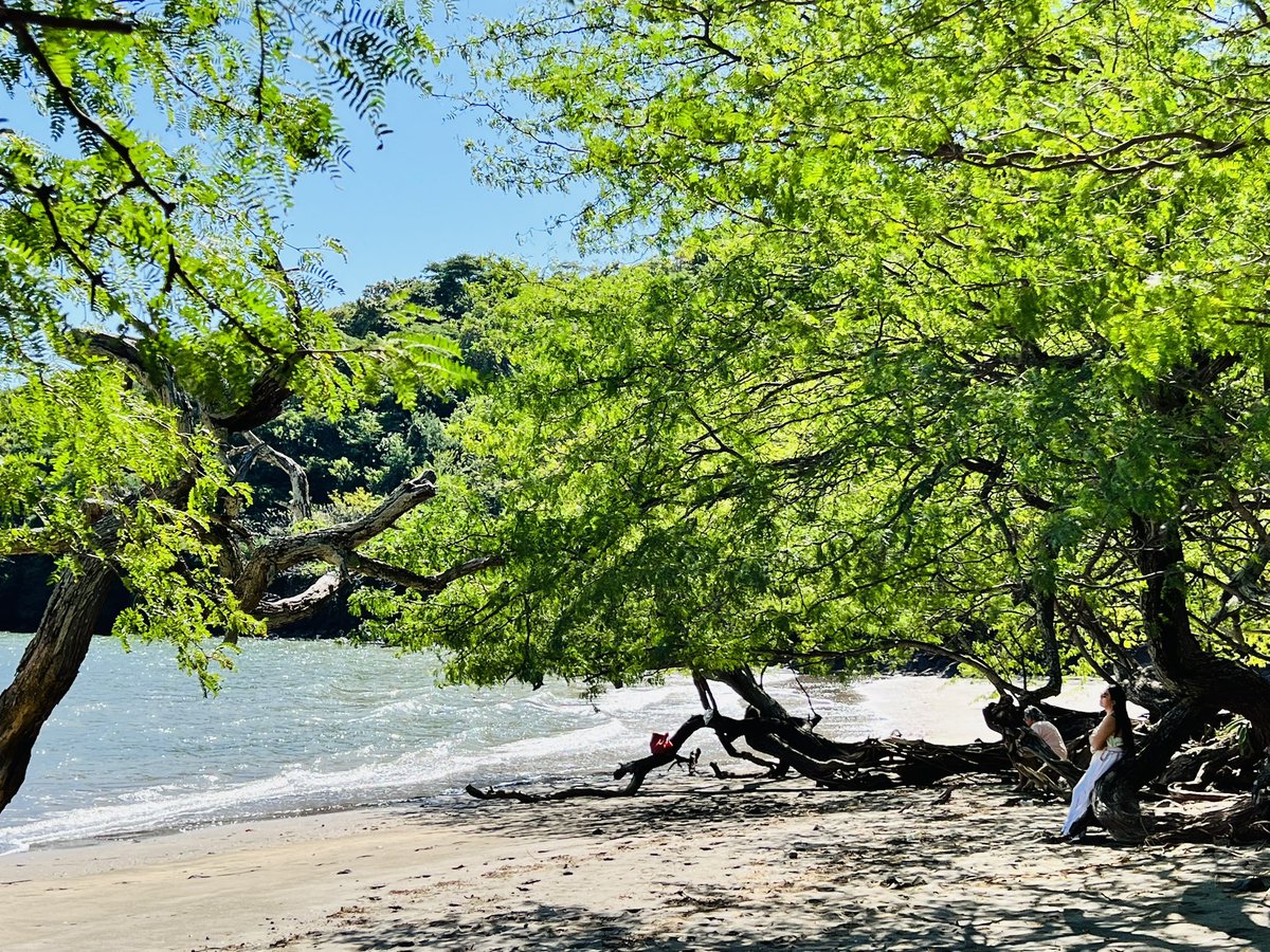 ESXpedition's tweet photo. Esta paradisíaca playa espera por ti…

✨Acompáñanos el próximo sábado 8 de abril a nuestro tour al Golfo de Fonseca…

Información y reservación: WhatsApp +503 7056 4885 https://t.co/LJ03lAkke4