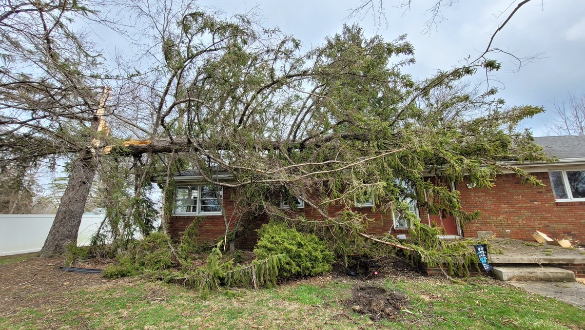 Sean Doerr tweet media