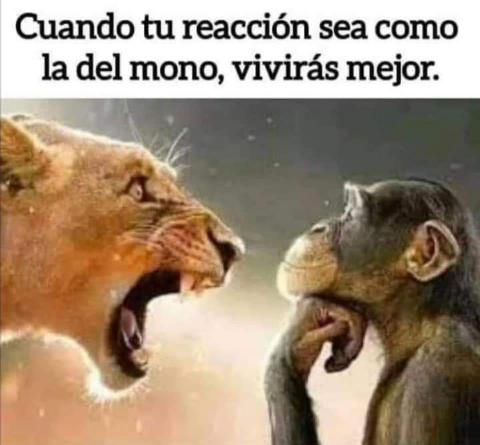 elkedonadio's tweet photo. ✨Una Persona de Carácter Fuerte, no es la que grita y se altera; esa es un persona de carácter débil.
✨Una Persona de Carácter Fuerte es quien se mantiene ecuánime y firme, ante las pruebas que se presentan. 🥰🌿🕊️🌹
#AlquimiaDelSer #EraDorada2023 #Abril2023 #PazInterna https://t.co/vDHfn5PZA1