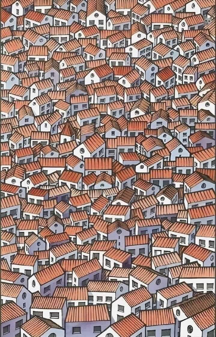 MorissaSchwartz's tweet photo. Where’s the cat? https://t.co/XdF7ynyROB
