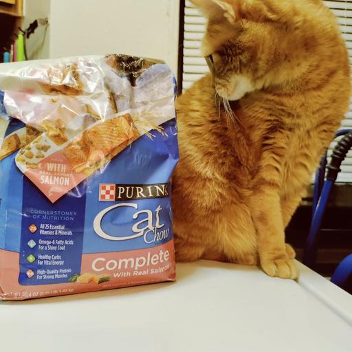 PinkConfetti85's tweet photo. Come Home to Purina Cat Chow with the comfort of trusted nutrition that fits your cat's needs, lifestyle, and taste preferences! #CatChowCompleteSalmon #FurBuddies #ad https://t.co/bZYFt1qA70 https://t.co/gcijS5zCgo
