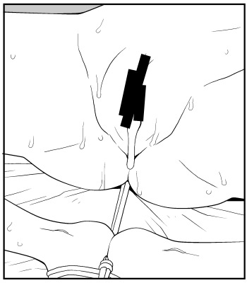 2022年4月は他に自分のトーン仕上げ工程をバラしてる 