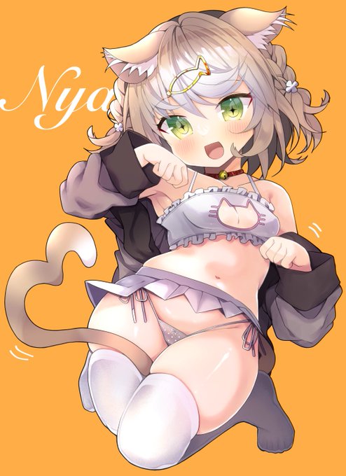 スコにゃん🐈 