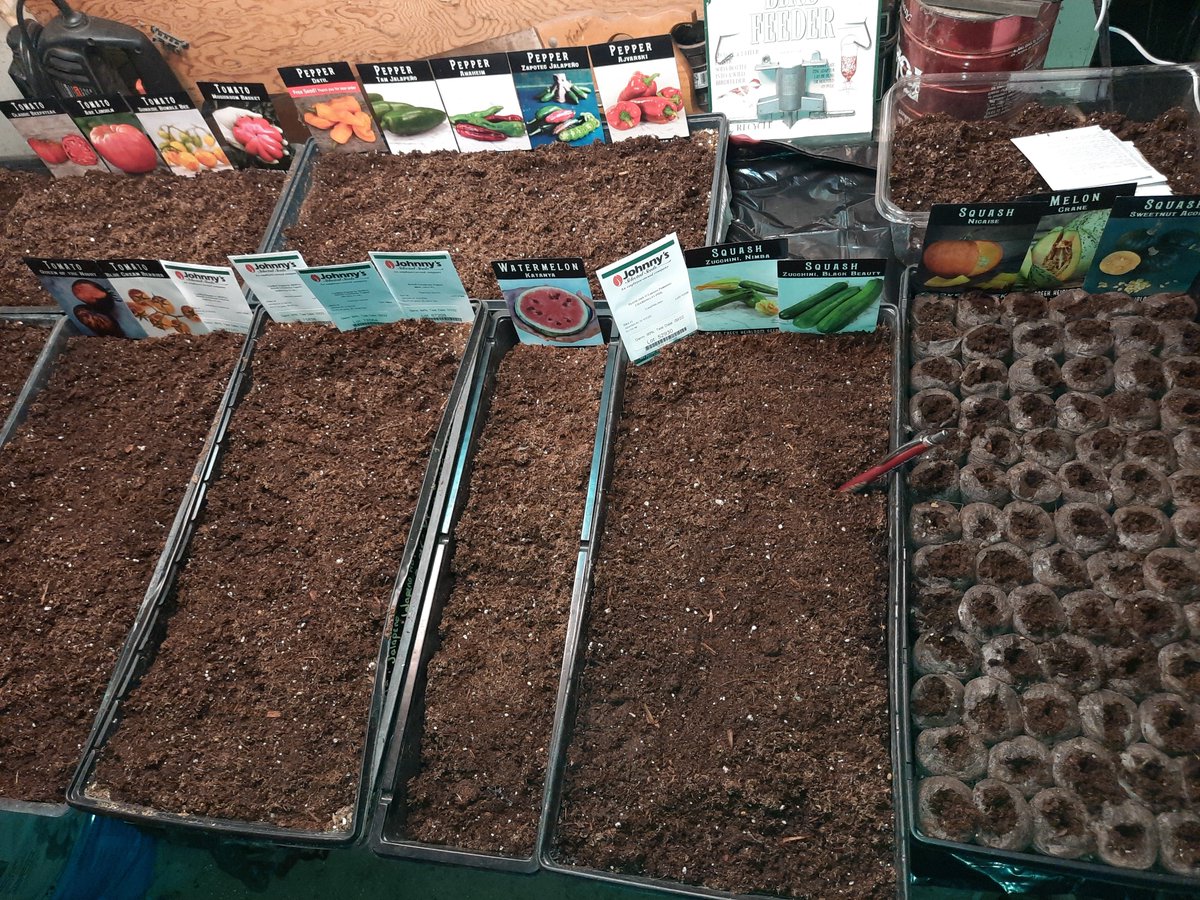 Getting some seeds planted!

#plantseeds #plants #gardening #plantsmakepeoplehappy #plantstand #love #plantslover #plantscout #plantsmakemehappy #growyourown #plantsarefriends #plantstrong #plantshop #plantshelfie #plantslife #plantsarelife #garden #plantsupport