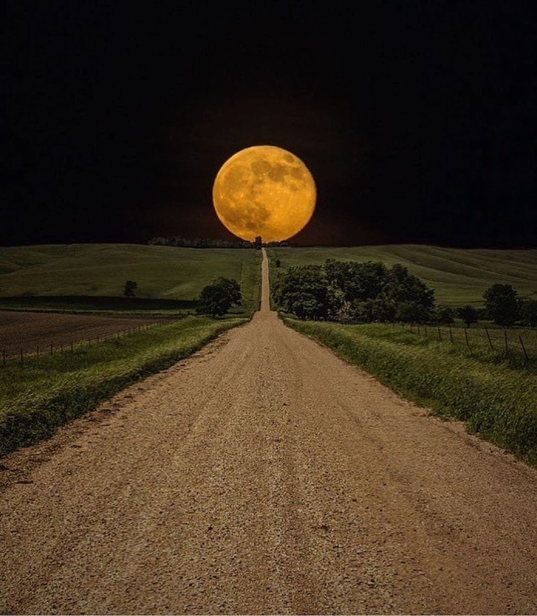 SitiosVirales's tweet photo. El camino más corto a la Luna!!! https://t.co/Nna8bMASzs