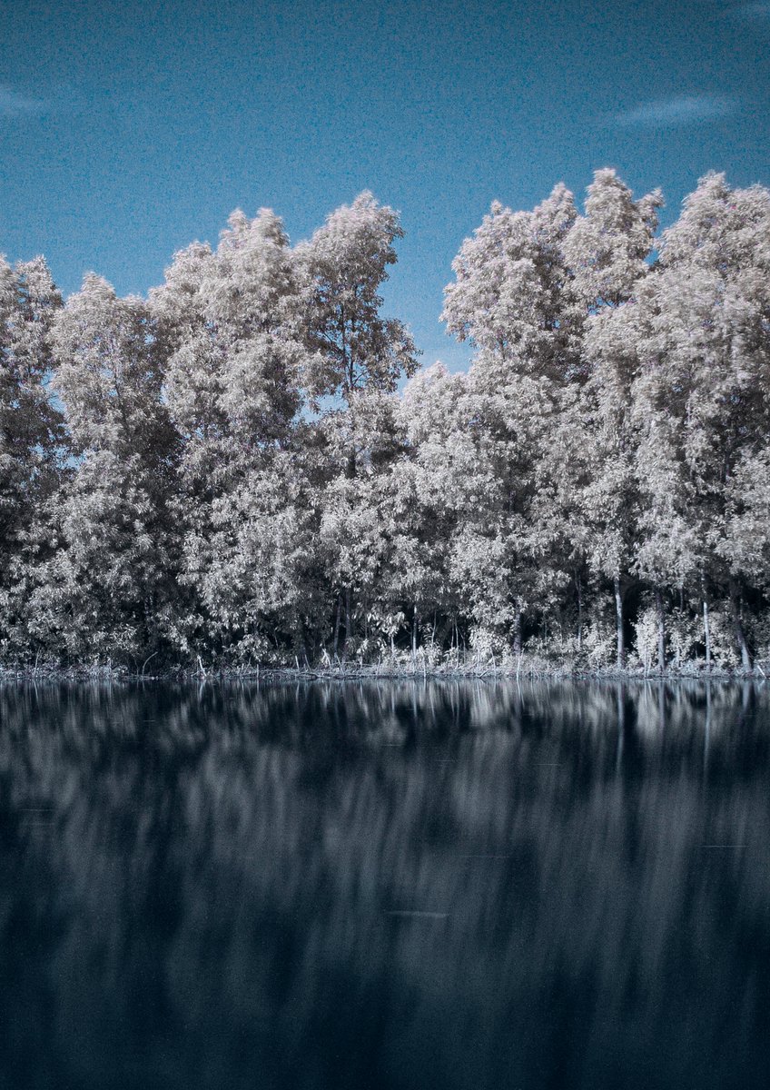thedivtagguy's tweet photo. I found older work today while cleaning up some folders, its been a while since I shot anything on infrared. All of these are in Karnataka, in order: Cubbon Park, Sagara and St. Mary's Island. https://t.co/2bm3cDuUFs