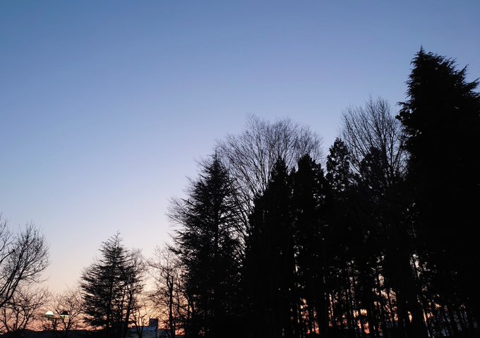  🌻 ダニエルさん🌺こんにちは🌸大きな黒いトトロのいる公園の きのうの夕空✨️🌲🎸トトロから始まって びっくり😳いつも何